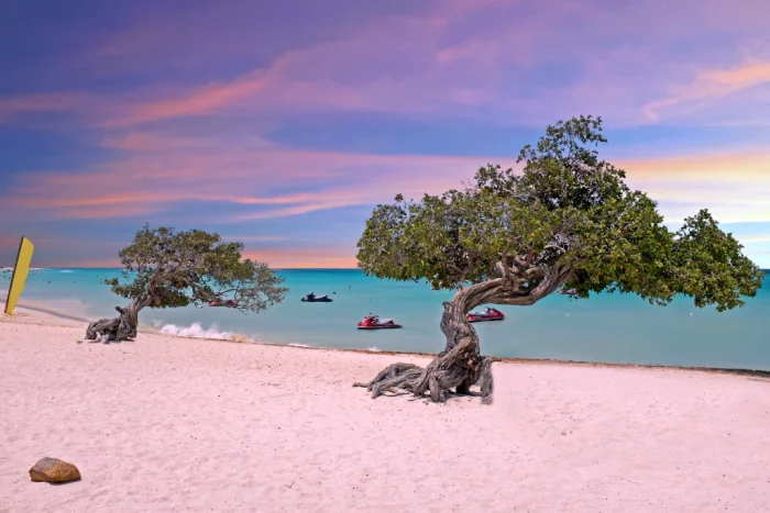 Eagle Beach Aruba Rentals