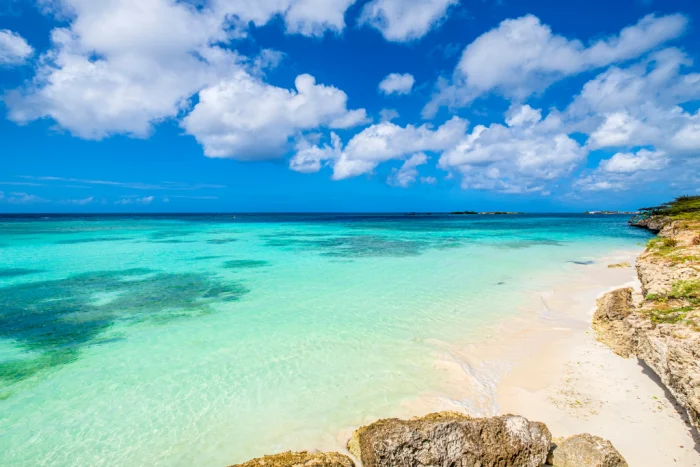 Mangel Halto Aruba Rentals