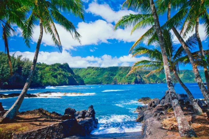 Maui Timeshares