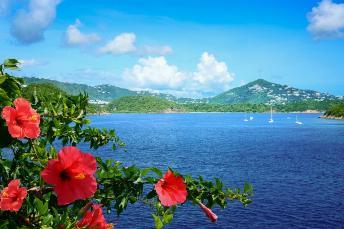 Caribbean Timeshare Rentals