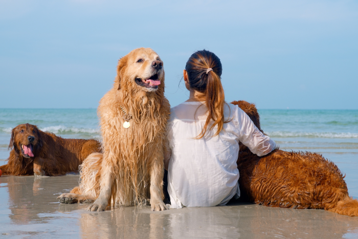 Pet Friendly Resorts