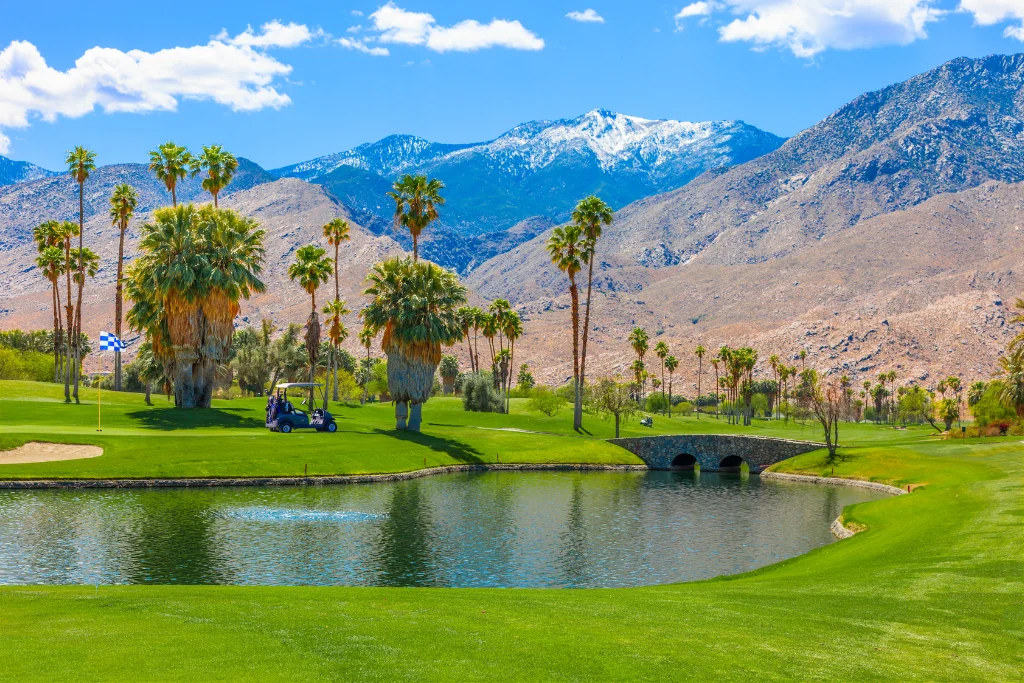 Palm Springs Rentals