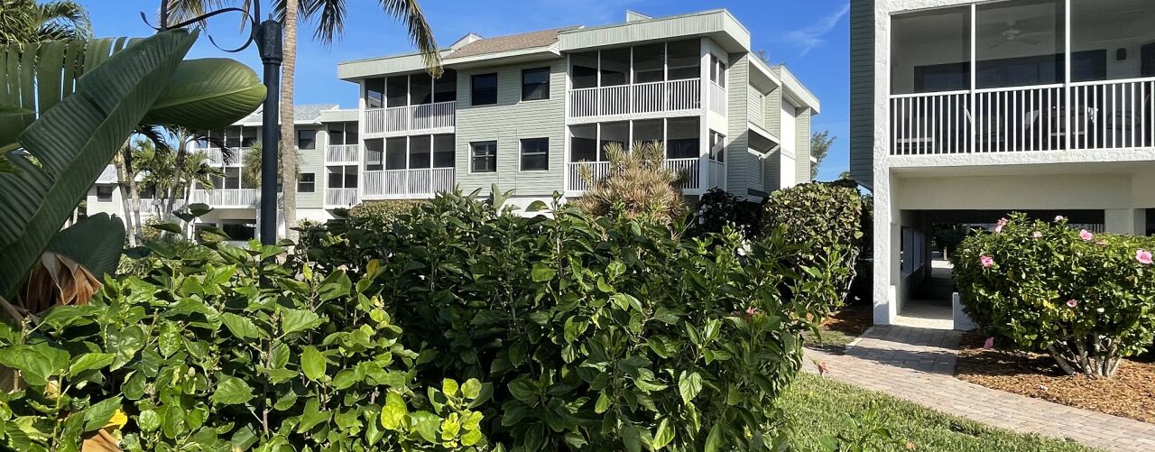 Shell Island Beach Club