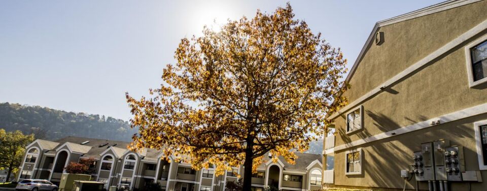 Pointe Royale Village & Country Club