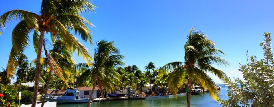 Caloosa Cove Resort