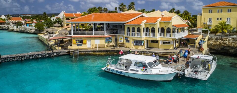 Buddy Dive Resort