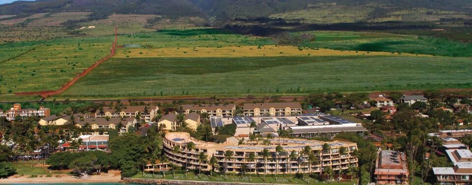 Aston Paki Maui