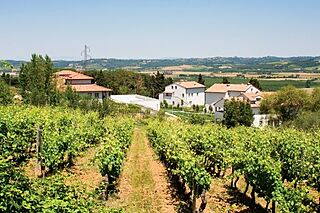Hilton Grand Vacations at Borgo alle Vigne