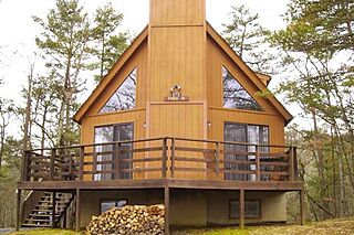 The Pines