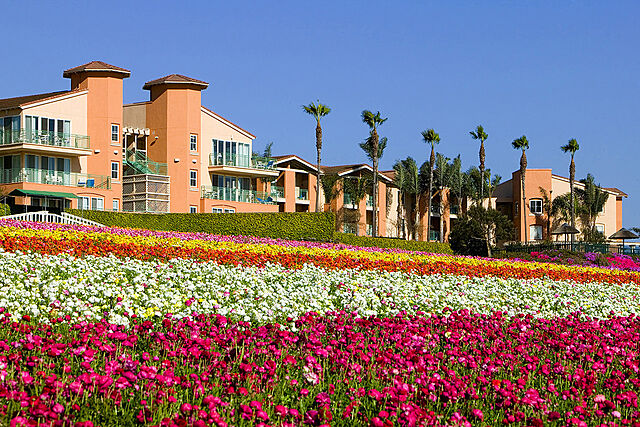 Grand Pacific Palisades Resort
