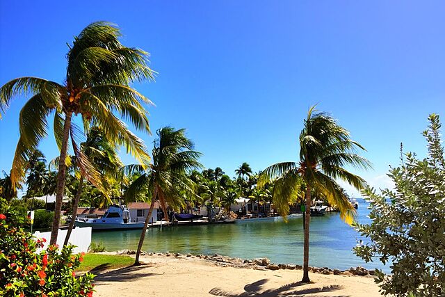 Caloosa Cove Resort