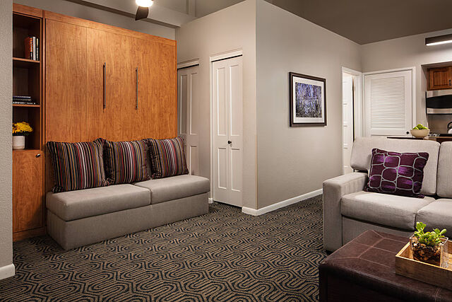 Studio Living Area With Murphy Bed - Birch Building