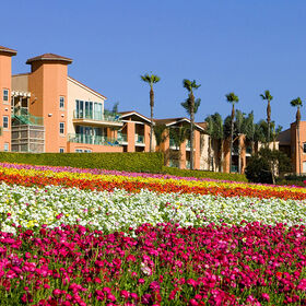 Grand Pacific Palisades Resort