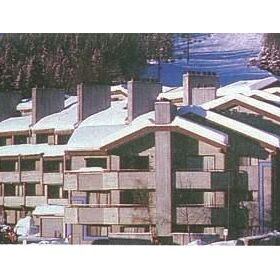 The Edelweiss