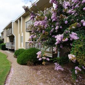 Sea Scape Beach & Golf Villas