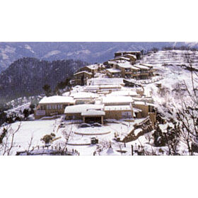 Shilon Resort