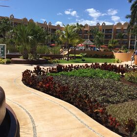 beautiful  landscaping