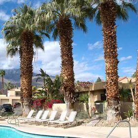 Oasis - Palm Springs