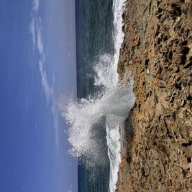 Blowholes