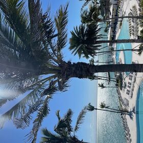 Actual View