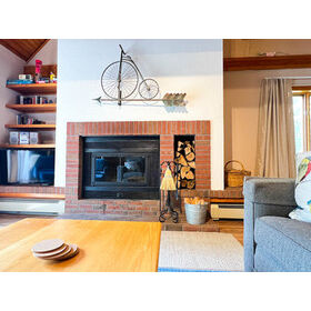 Wood-burning fireplace