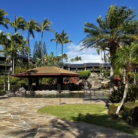 the main pool