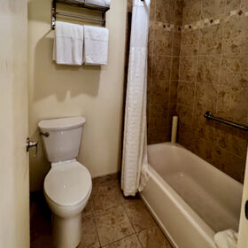 other bath has shower