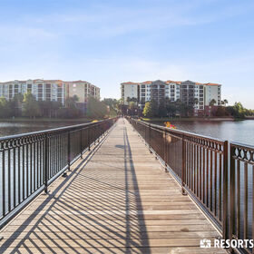 lovely boardwalk