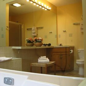 Master bath w/hot tub
