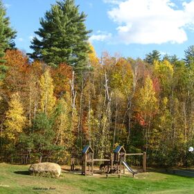 grounds