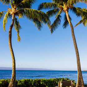 Maui ocean and palm view - illustrative stock image