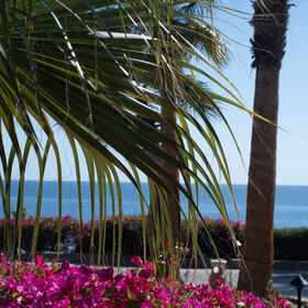 Tropical Maui resort atmosphere - illustrative stock image