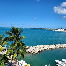 D51 views