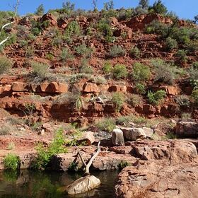View  across creek from units