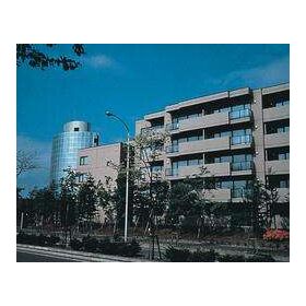 Therm Chitose Dominio