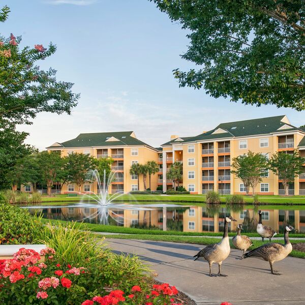 Sheraton Flex resort photo