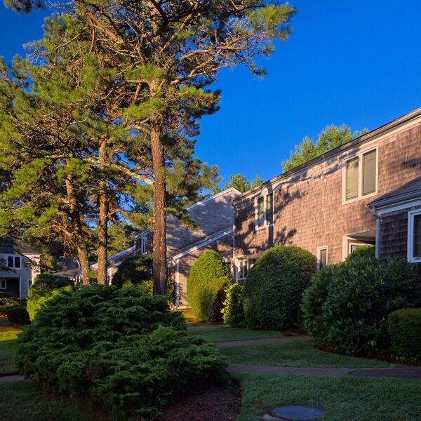 Festiva Resorts resort photo