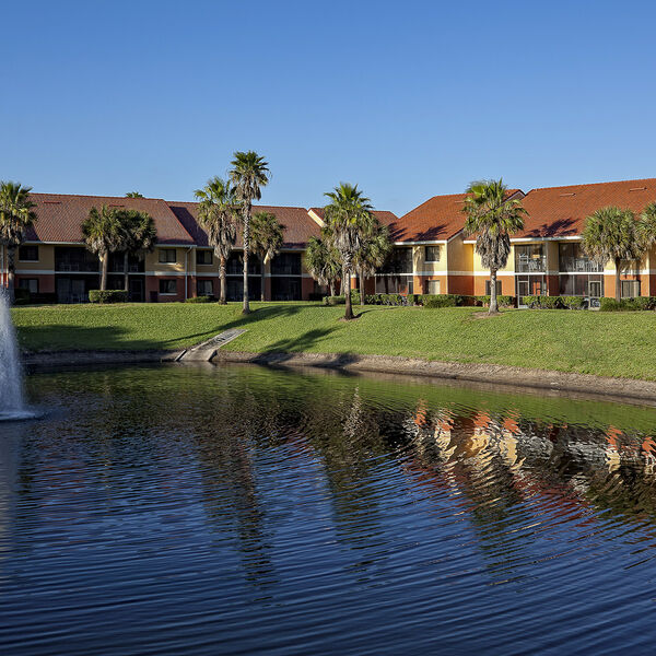 Club Absolute resort photo