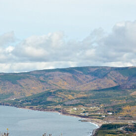 Avatar for William A.