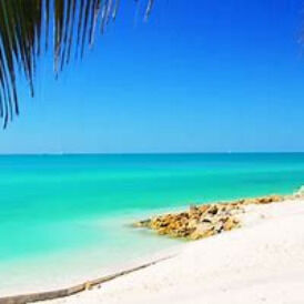 Avatar for Regina W.