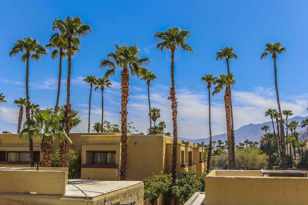Desert Vacation Villas