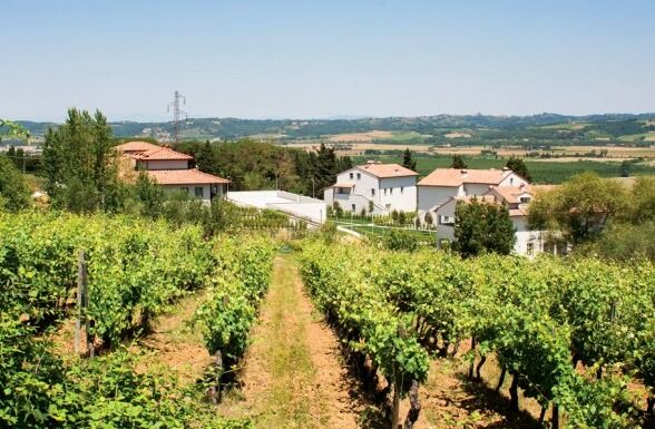 Hilton Grand Vacations at Borgo alle Vigne