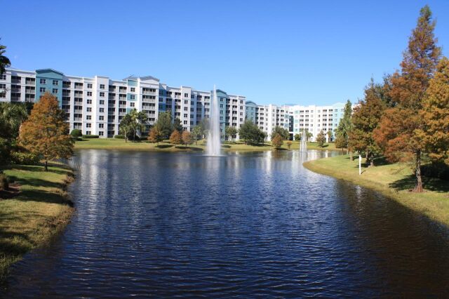 The Fountains