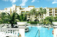 Palm Oasis - Pool