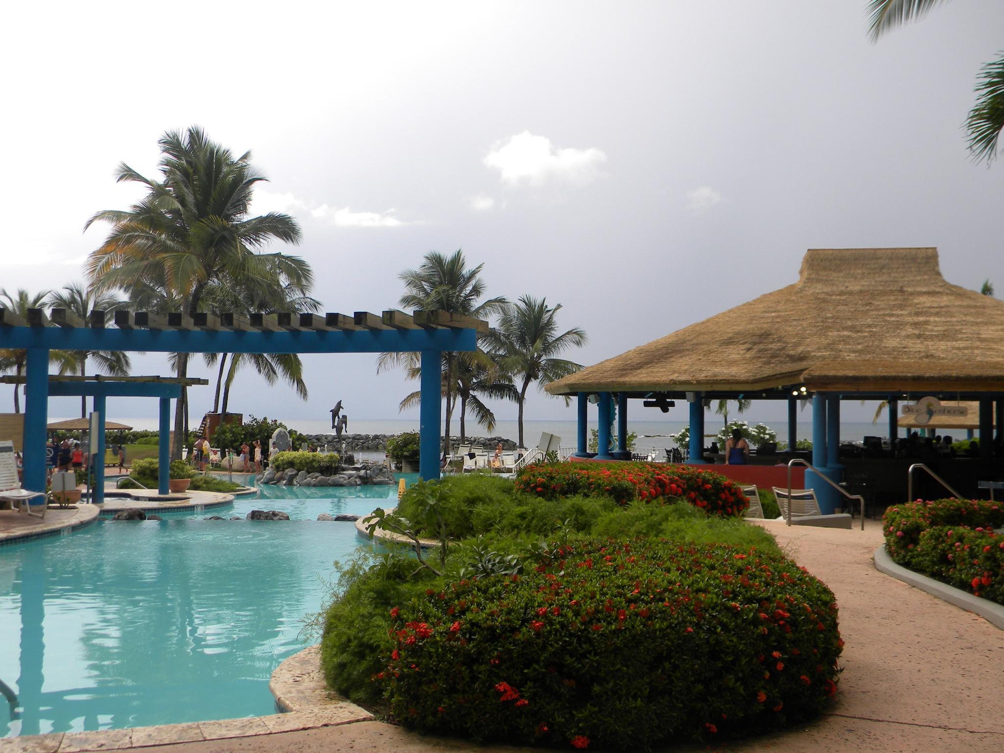 Aquarius Vacation Club  Dorado del Mar  RedWeek