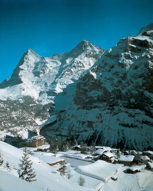 Alpin Palace - View of mountains 