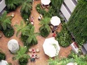 Royal Sunset Club Cancun - Restaurant