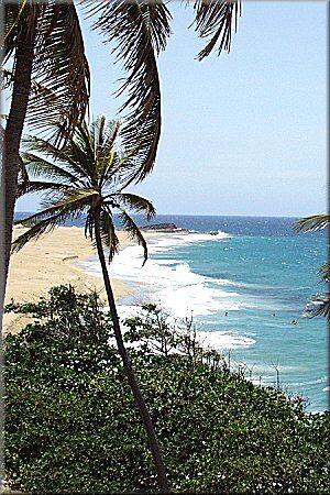 Villas de Costa Dorada - Beach