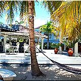 Beachcomber Club &mdash; Hammock and bar at