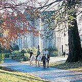 Kilconquhar Estate and Country Club
